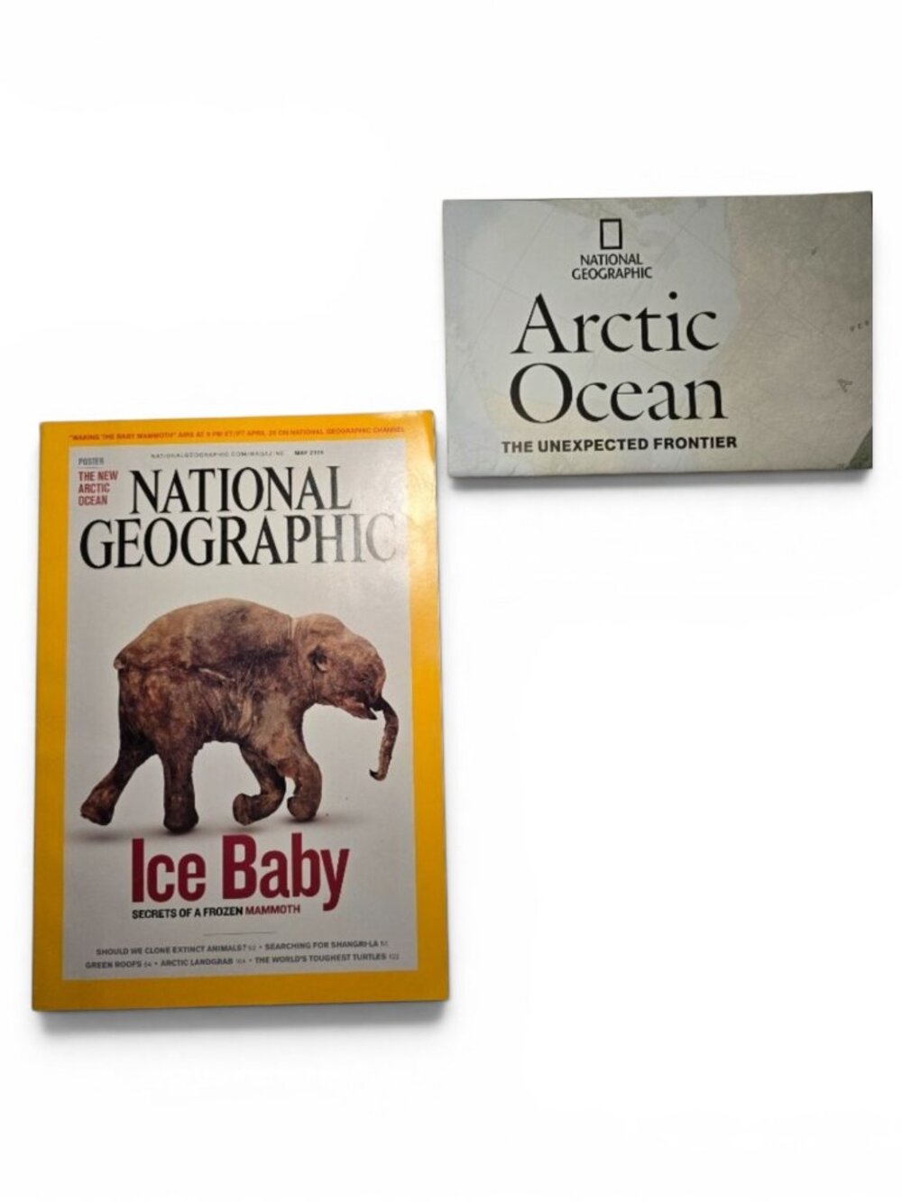 National Geographic May 2009 Ice Baby Frozen Mammoth Magazine Prehistoric Animal